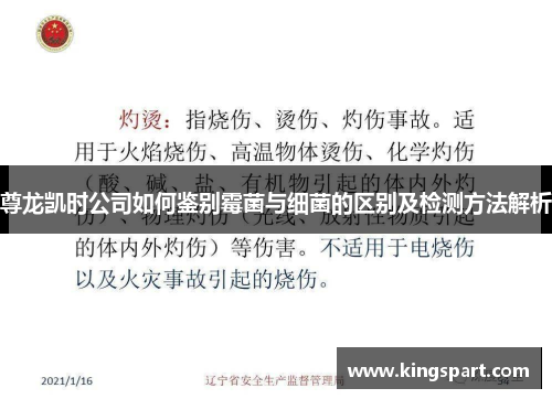 尊龙凯时公司如何鉴别霉菌与细菌的区别及检测方法解析 尊龙凯时公司如何鉴别霉菌与细菌的区别及检测方法解析