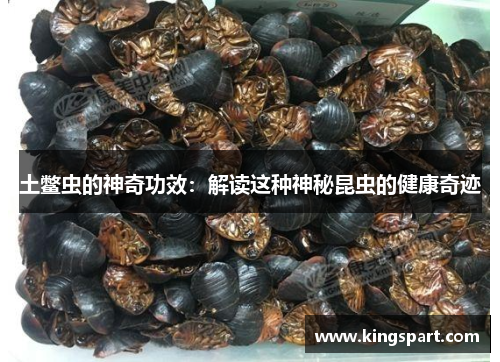 土鳖虫的神奇功效：解读这种神秘昆虫的健康奇迹