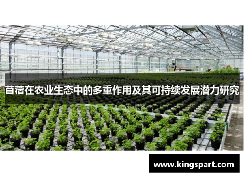 苜蓿在农业生态中的多重作用及其可持续发展潜力研究